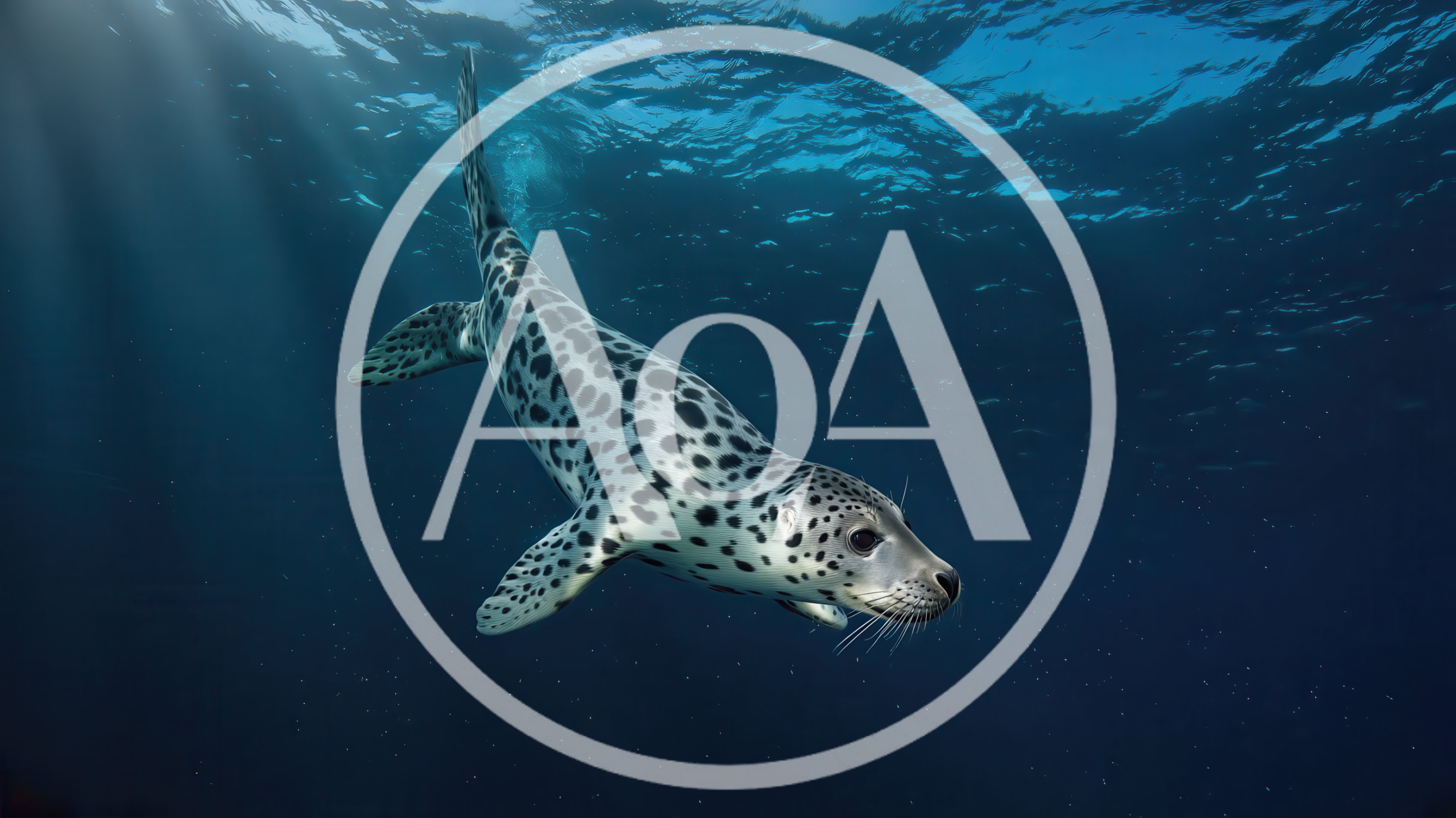 Spotted Seal Swimming Underwater in Deep Blue Ocean
