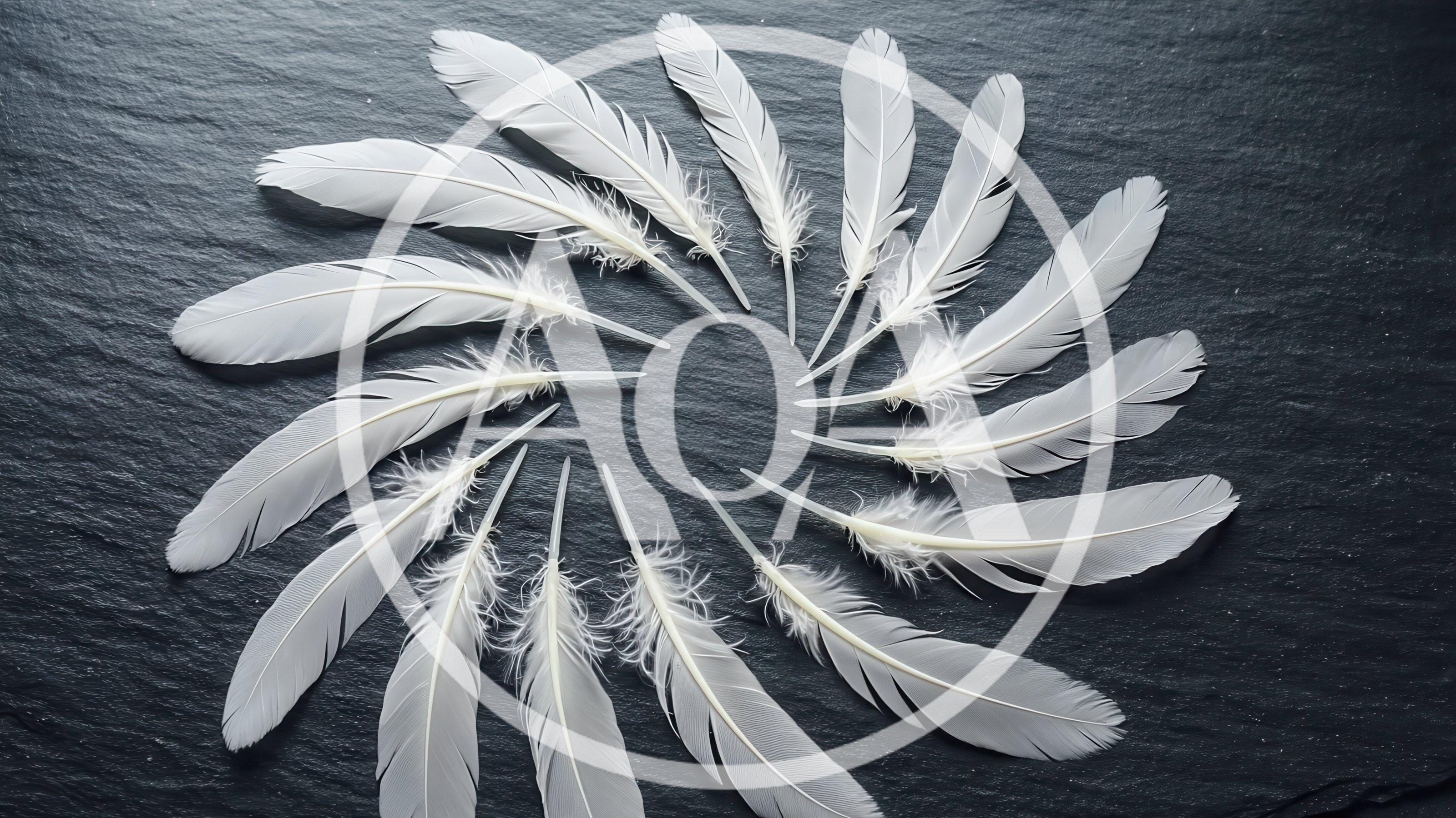 White Feathers Arranged In A Circular Pattern