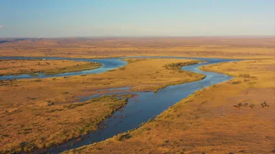 Aerial View Of A Winding River In The Savannah