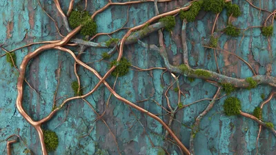 Copper Vines Overgrown With Moss On Weathered Teal Wall