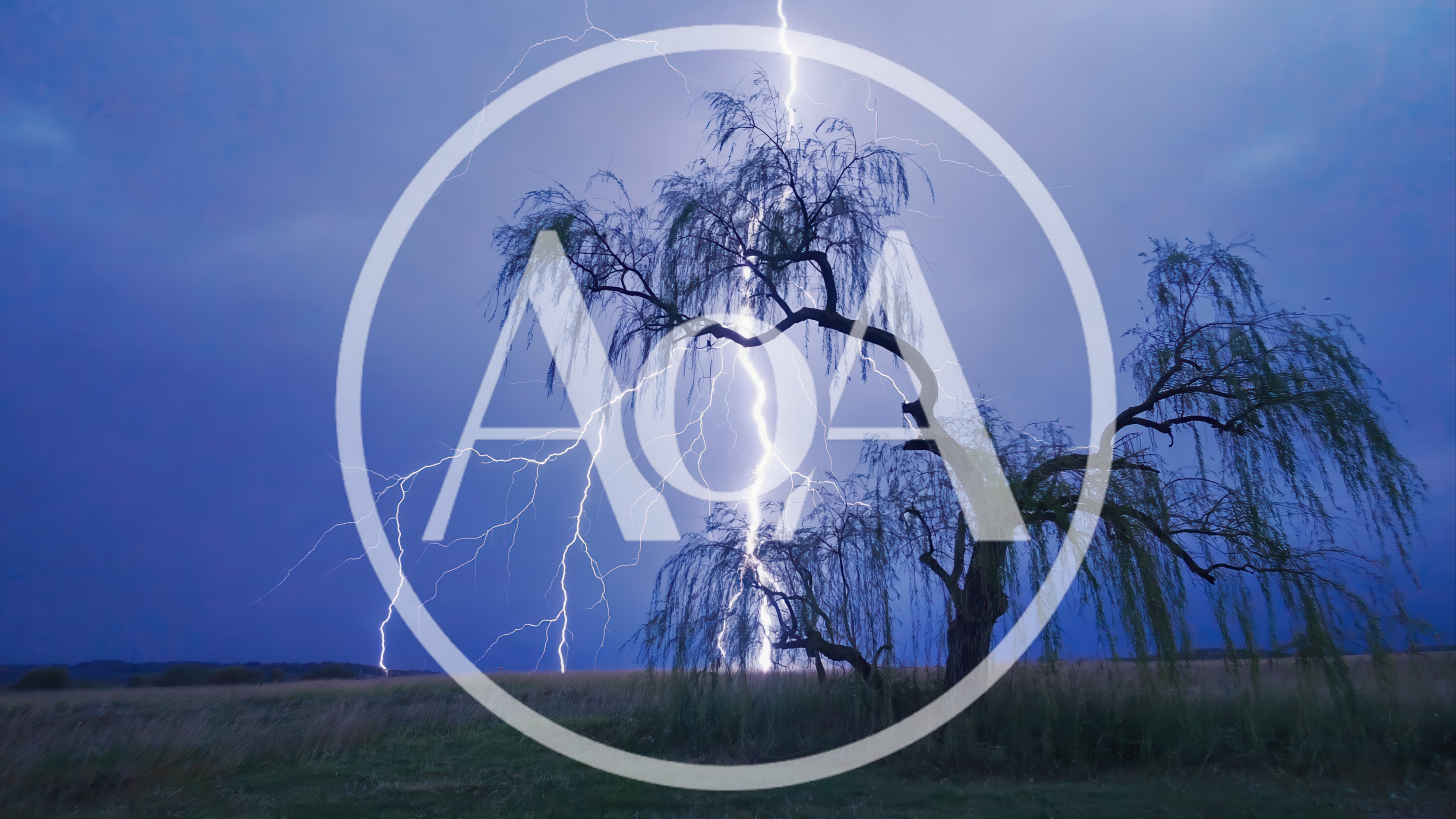 Lightning Strike Behind A Weeping Willow Tree