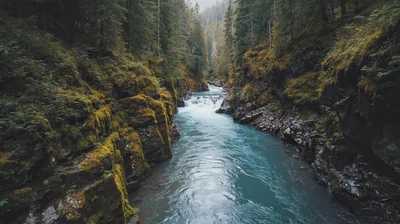 Turquoise River Flowing Through A Mossy Forest Canyon