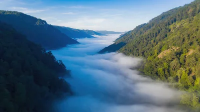 Aerial View of Mountain Valley Filled With Morning Fog