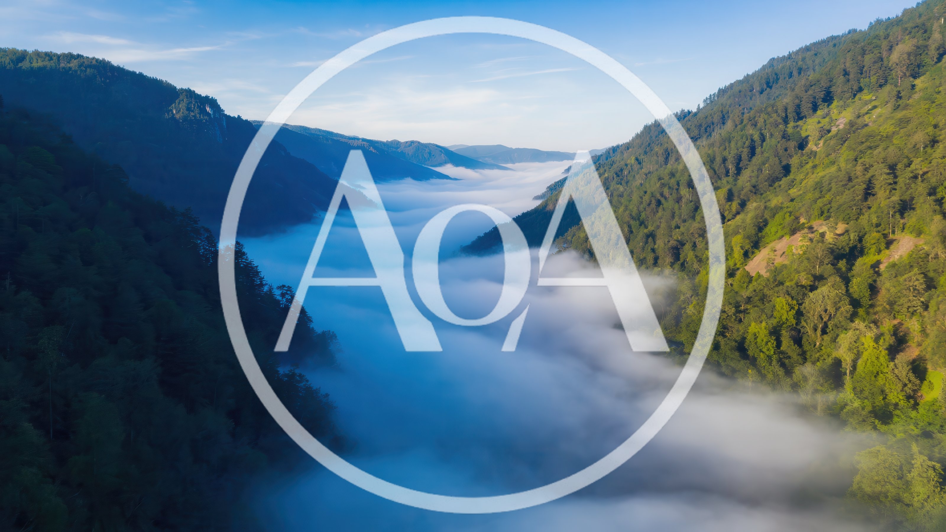 Aerial View of Mountain Valley Filled With Morning Fog