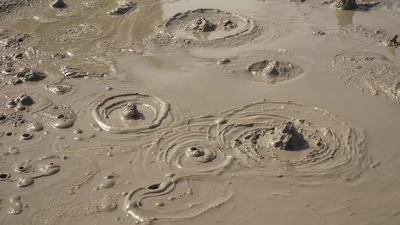 Bubbling Mud Pool in Geothermal Area