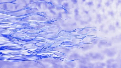 Abstract Blue Liquid Flowing Motion Background