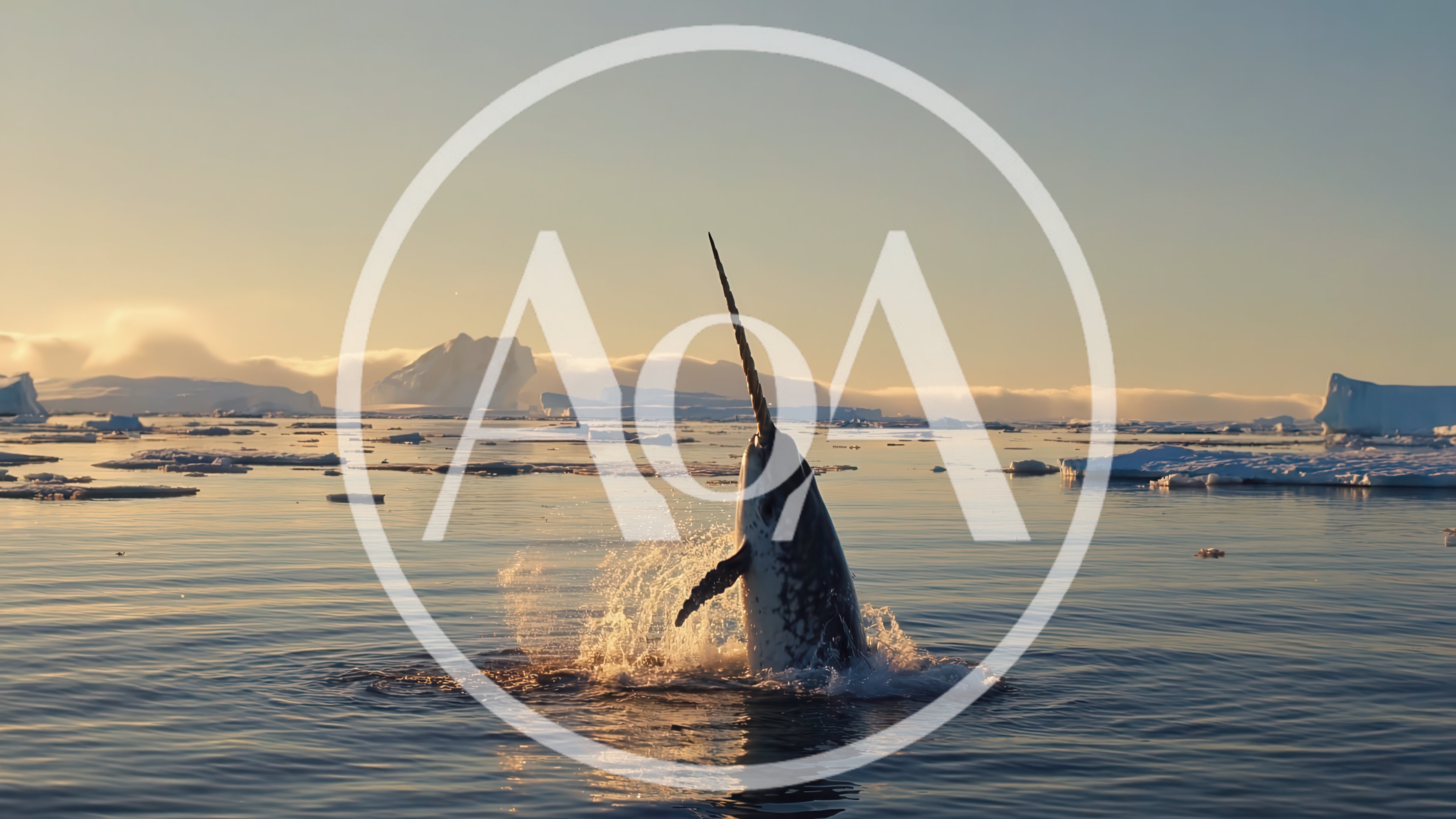 Narwhal Breaching Through Arctic Ocean Waters