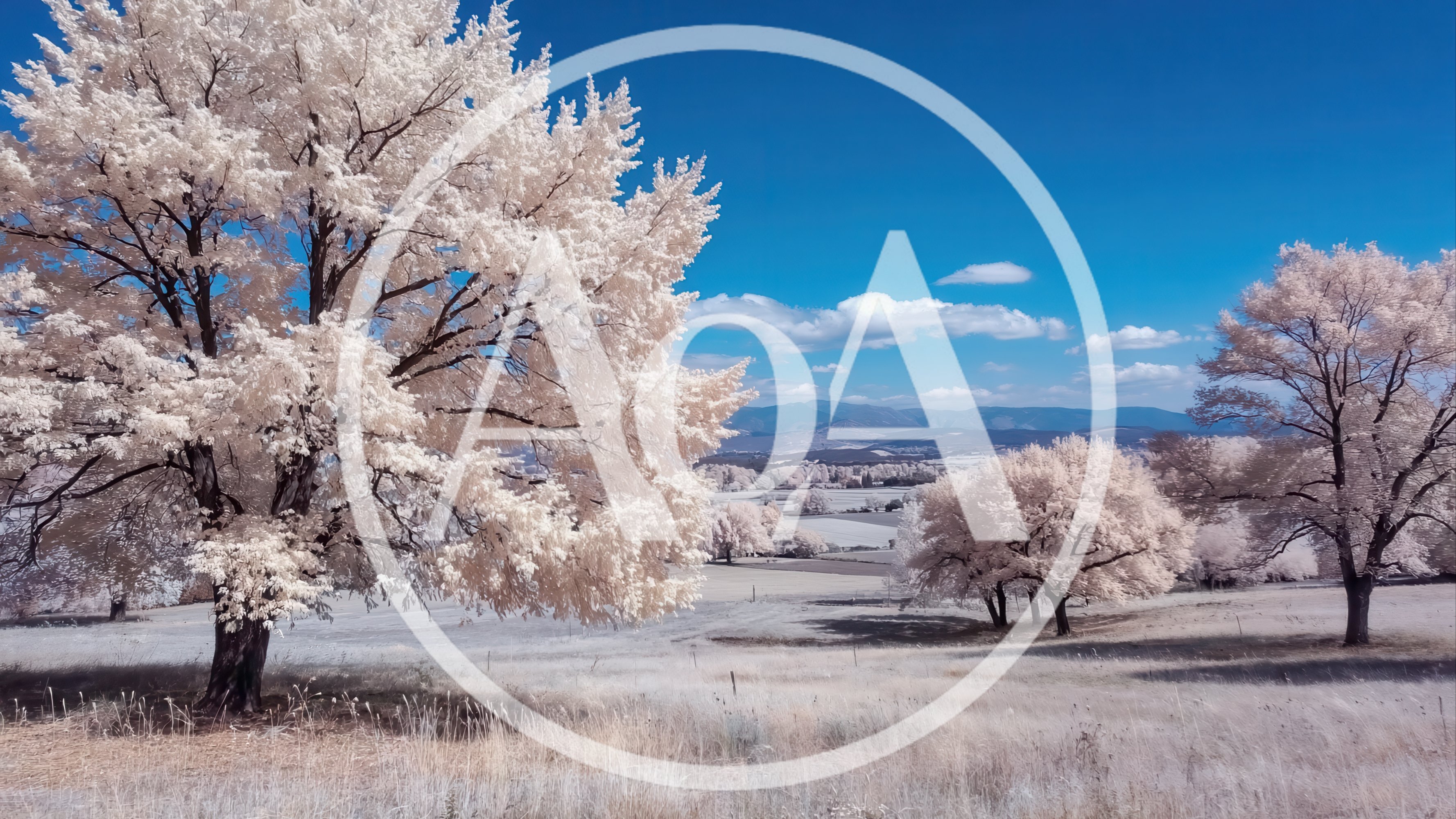 Infrared Landscape With White Trees And Blue Sky