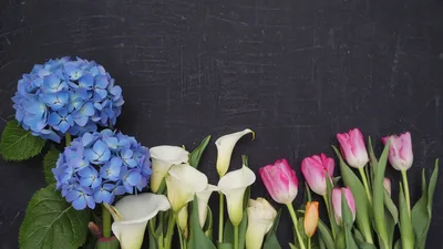Blue Hydrangeas Calla Lilies And Pink Tulips On Chalkboard