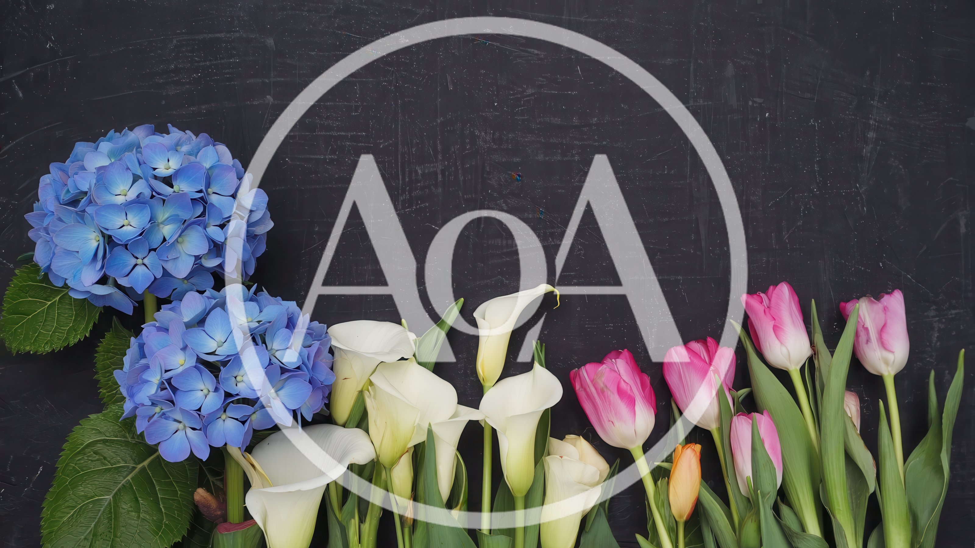 Blue Hydrangeas Calla Lilies And Pink Tulips On Chalkboard