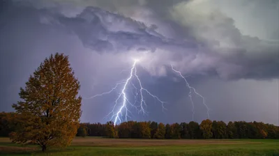 Powerful Lightning Strike Over Autumn Forest Landscape
