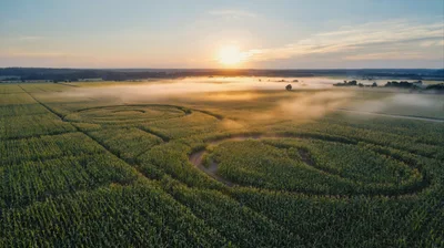 Aerial View Of A Corn Maze At Sunrise