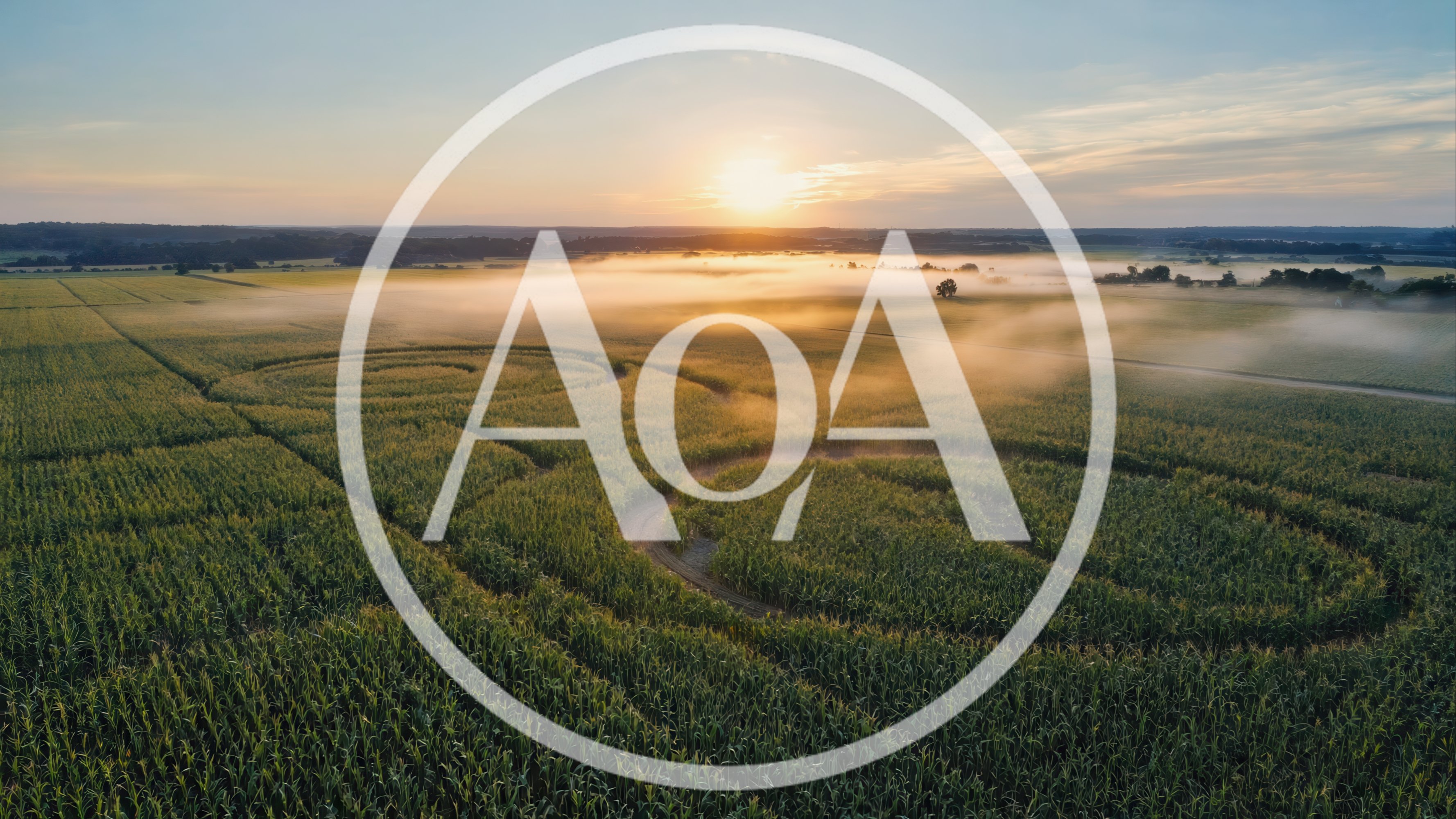 Aerial View Of A Corn Maze At Sunrise