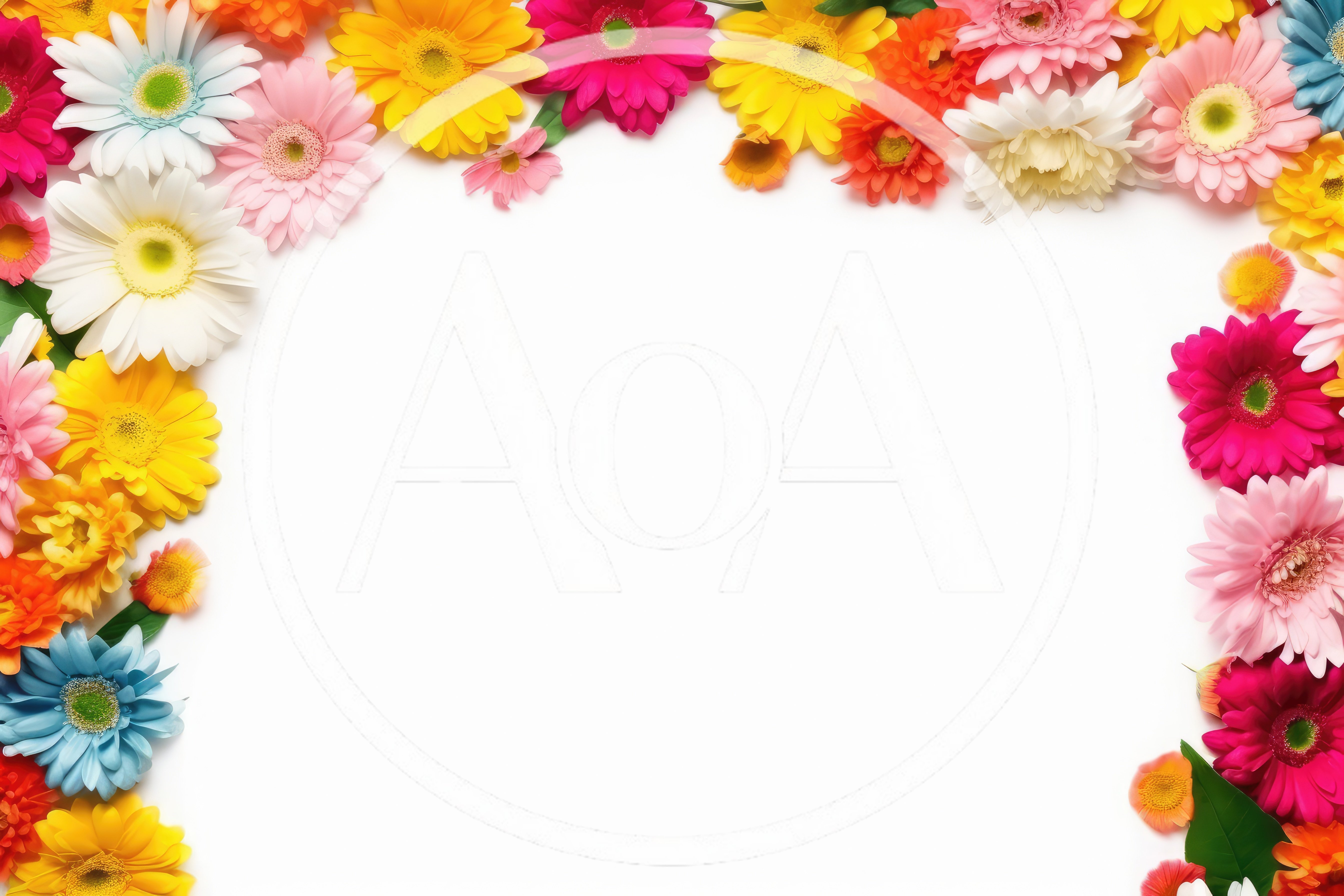 Colorful Gerbera Daisy Flower Border Frame