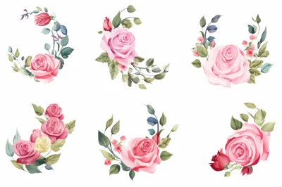 Set Of Watercolor Pink Rose Floral Arrangements