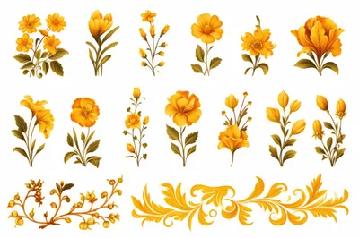 Set of Golden Yellow Floral Illustrations and Ornaments