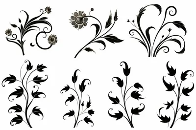 Set Of Decorative Floral Swirls And Flourishes