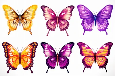 Set Of Six Colorful Decorative Butterfly Illustrations