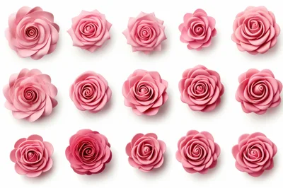Collection Of Pink Paper Roses On White Background