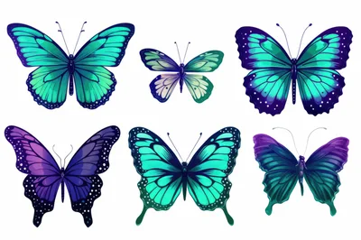 Collection Of Six Vibrant Digital Butterfly Illustrations
