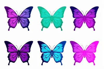 Set Of Six Colorful Butterfly Illustrations