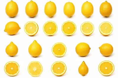 Collection Of Whole And Sliced Fresh Yellow Lemons