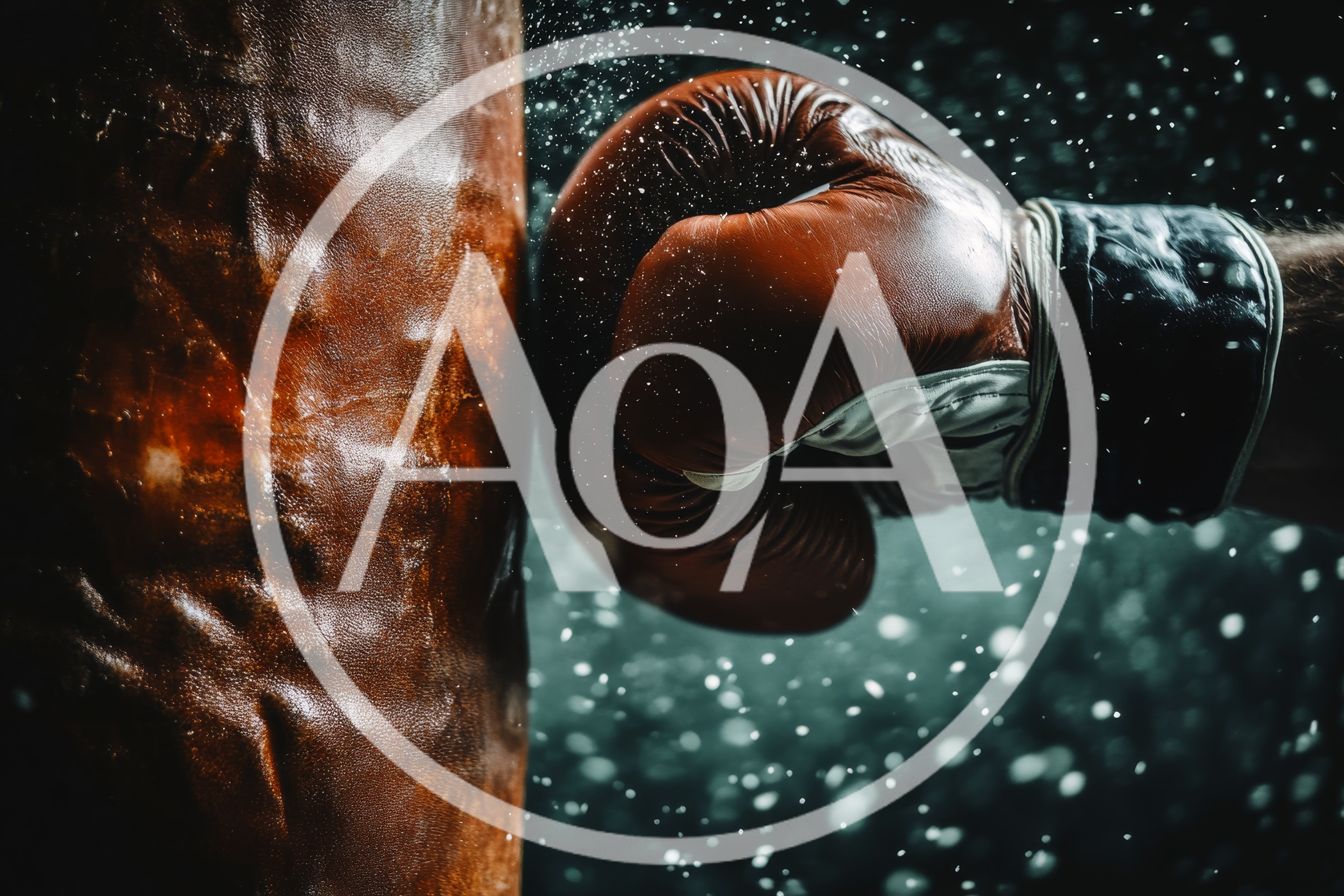Close Up Of A Boxer Punching A Heavy Bag
