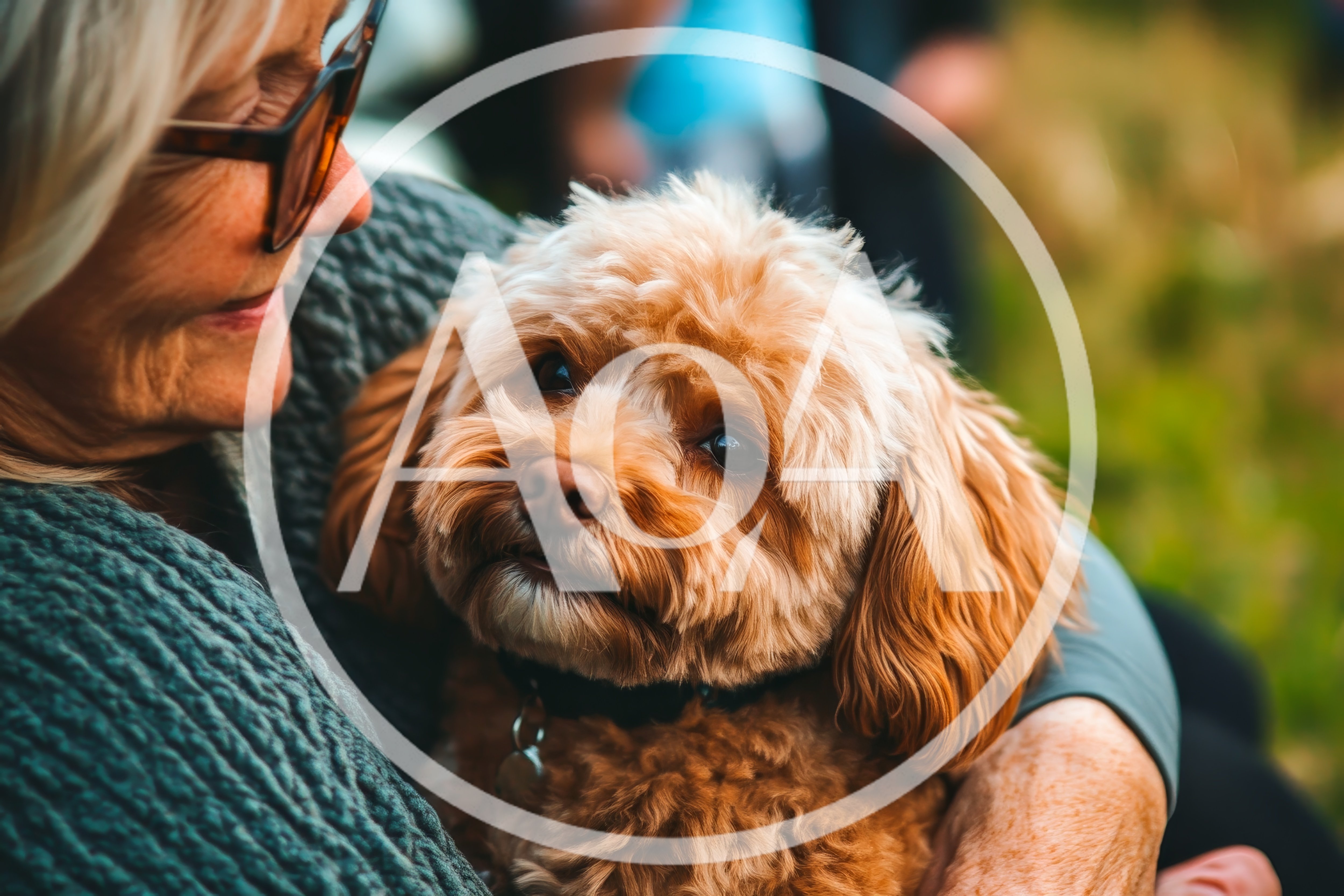 Senior Woman Holding Her Small Fluffy Dog