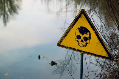 Weathered Skull Warning Sign Near A Calm Lake