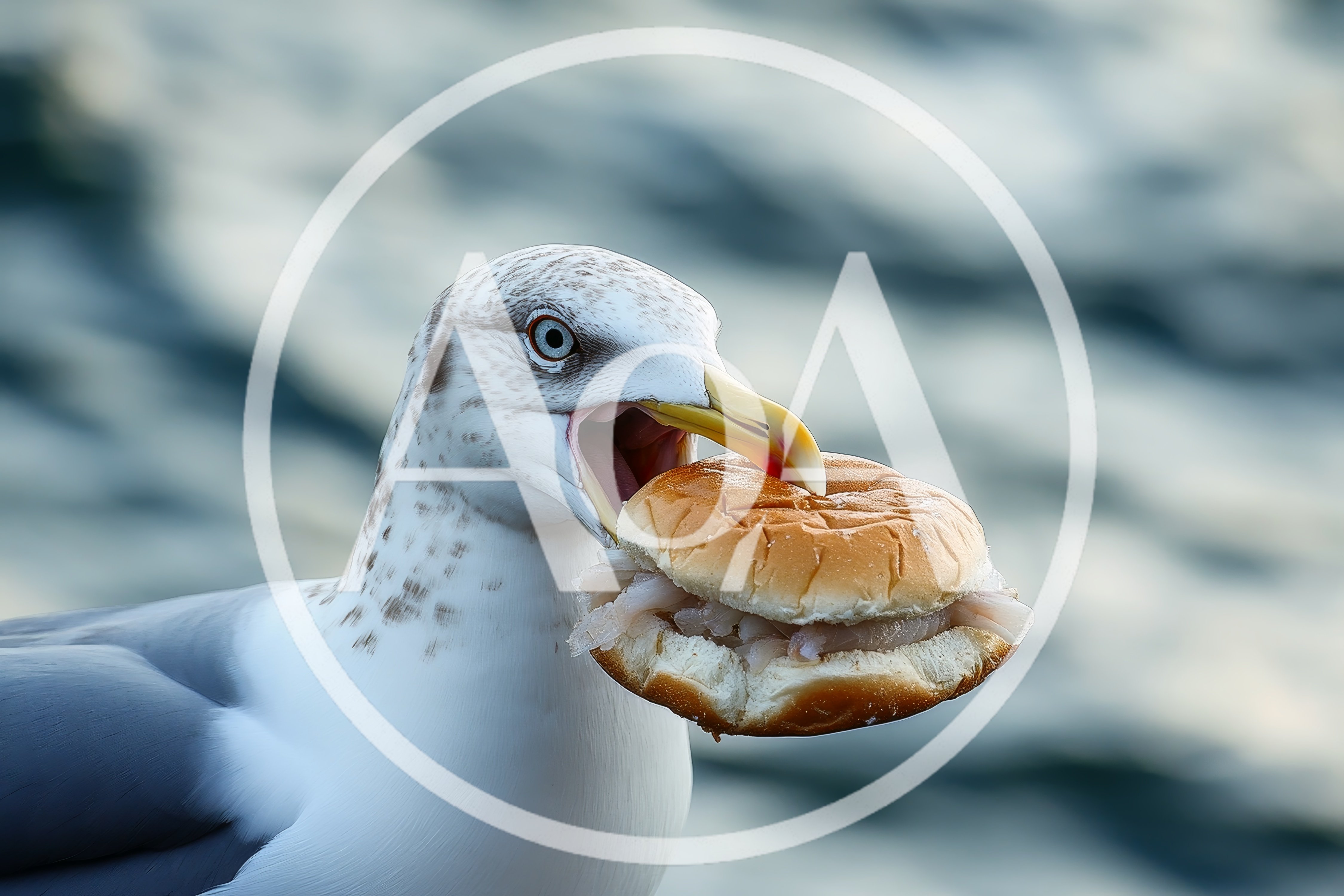 Seagull Holding A Fish Sandwich In Its Beak