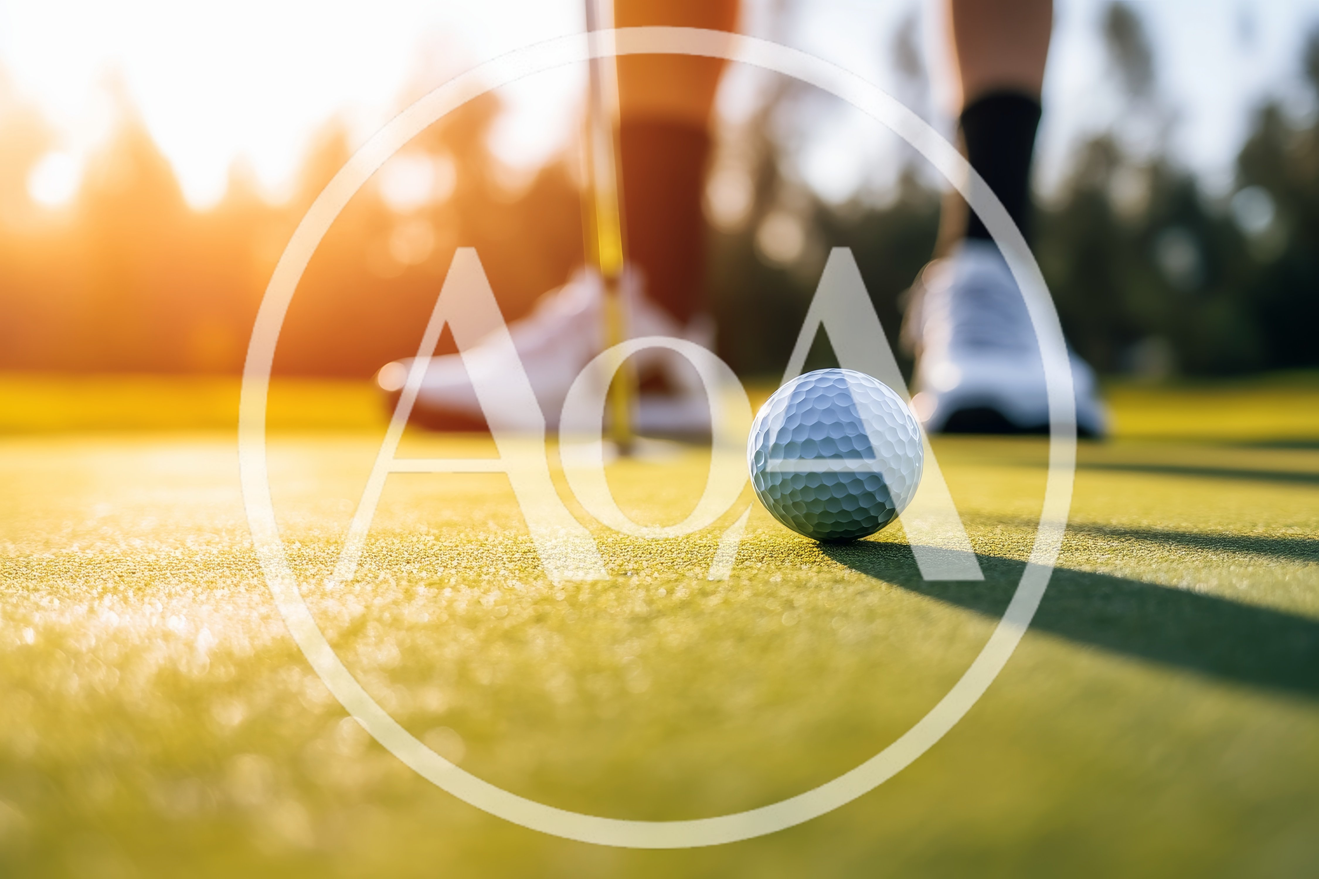Golf Ball Resting On Green Before A Putt