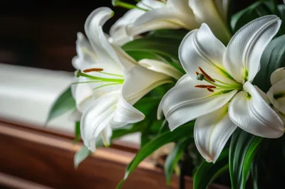Elegant White Lily Flowers In A Floral Arrangement