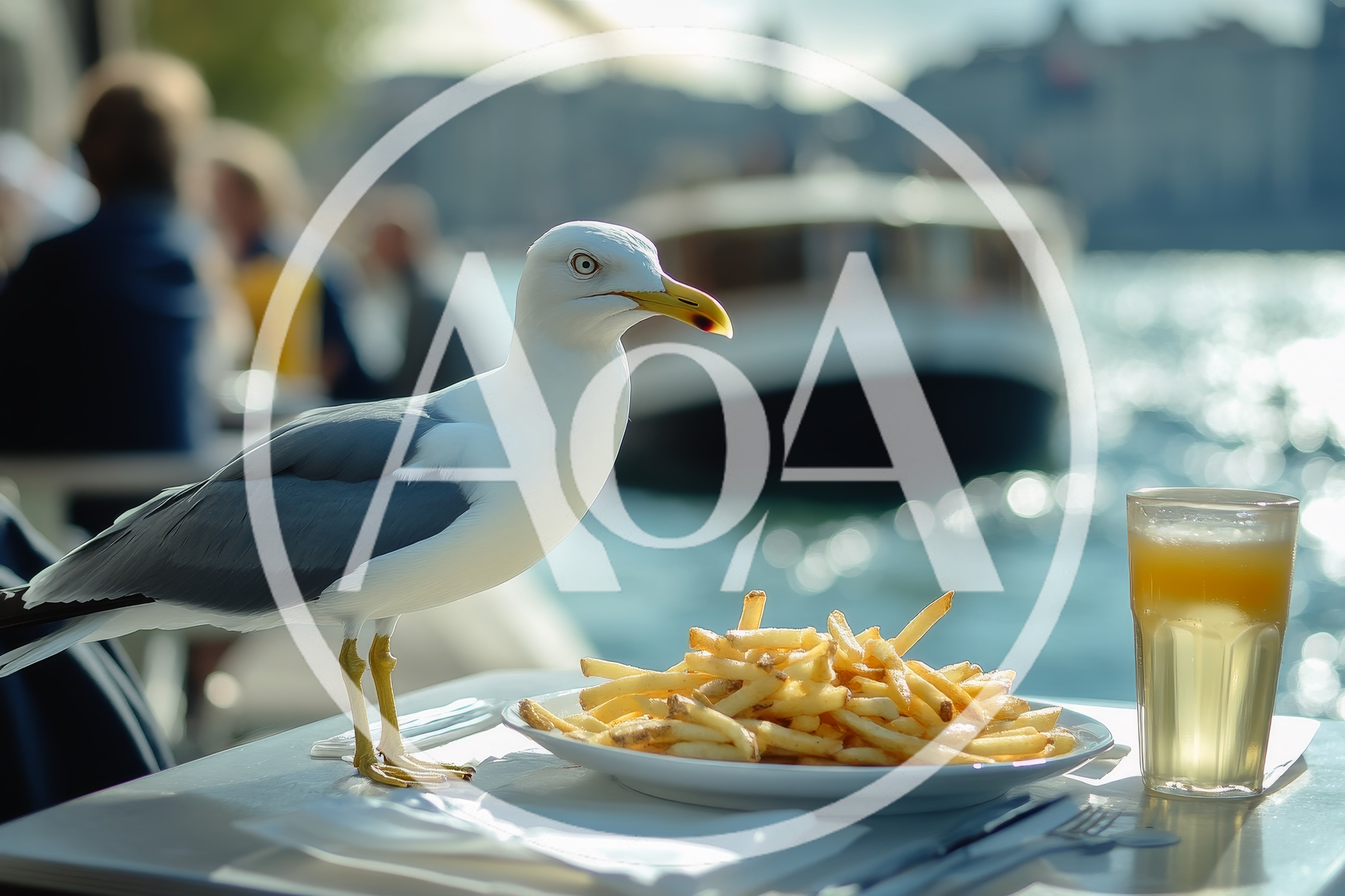 Seagull Standing On A Table Near French Fries