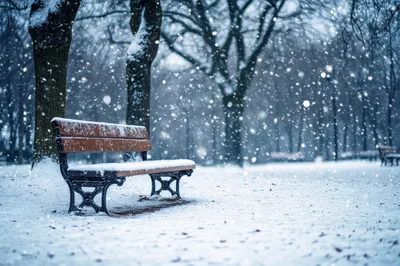 Empty Wooden Park Bench During A Winter Snowfall