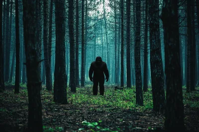 Bigfoot Standing In A Dark Misty Pine Forest