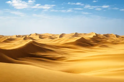 Vast Golden Sand Dunes Under A Clear Blue Sky
