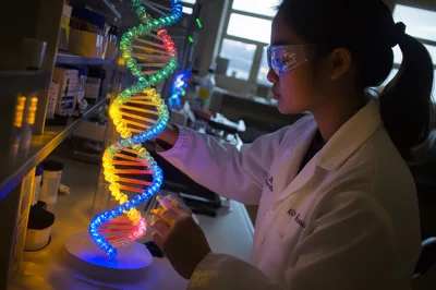 Scientist Examining Illuminated DNA Model In Laboratory