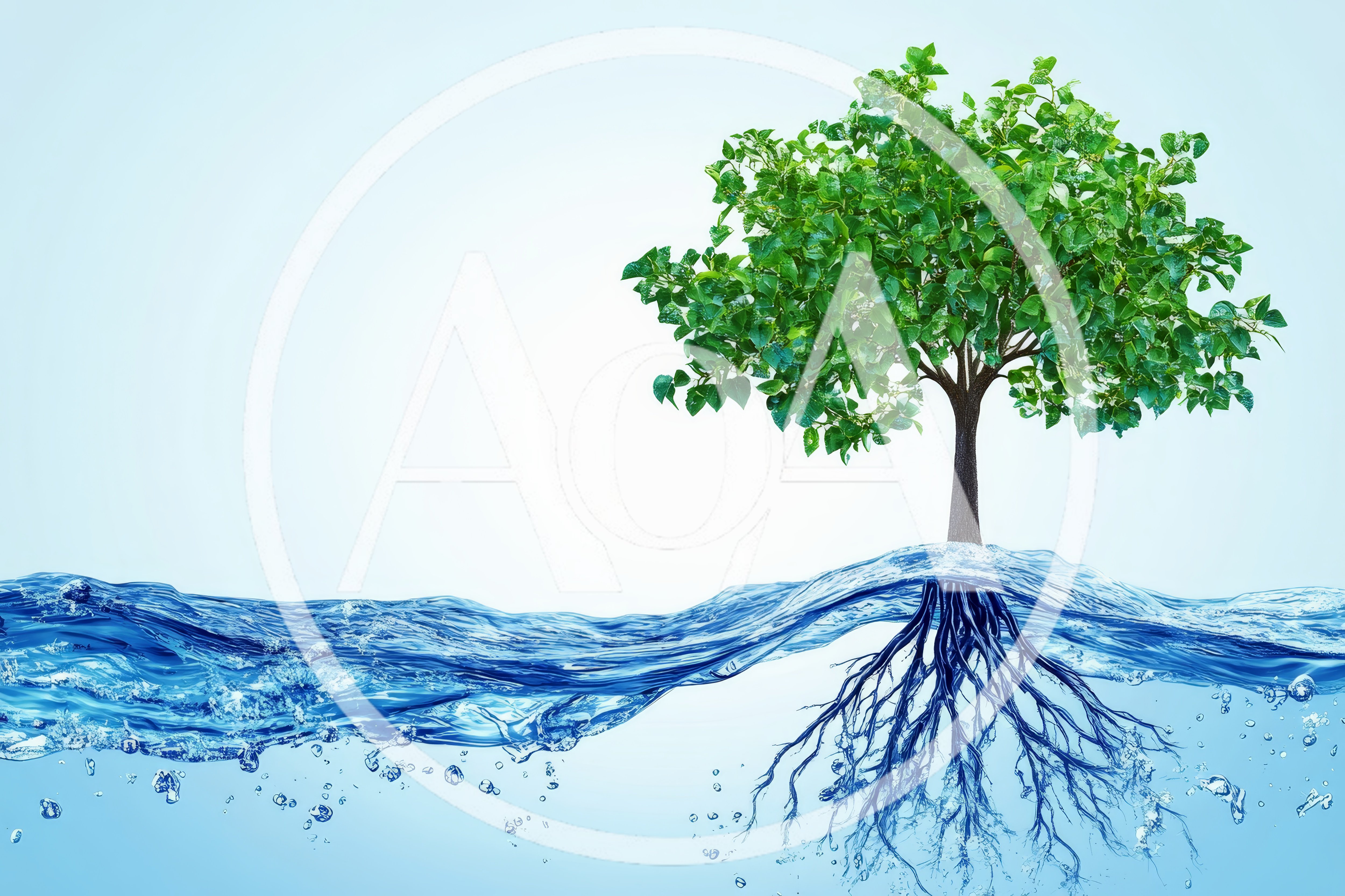 Green Tree Growing From Water Surface With Visible Roots