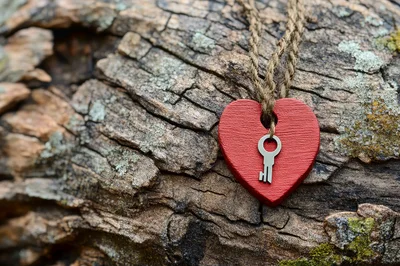 Red Wooden Heart Pendant With Key On Tree Bark