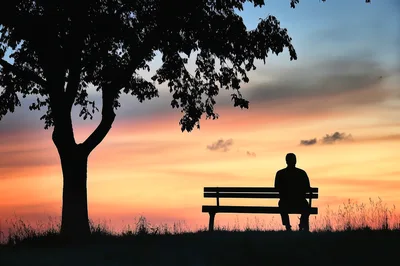 Silhouette Of A Man Sitting On A Park Bench