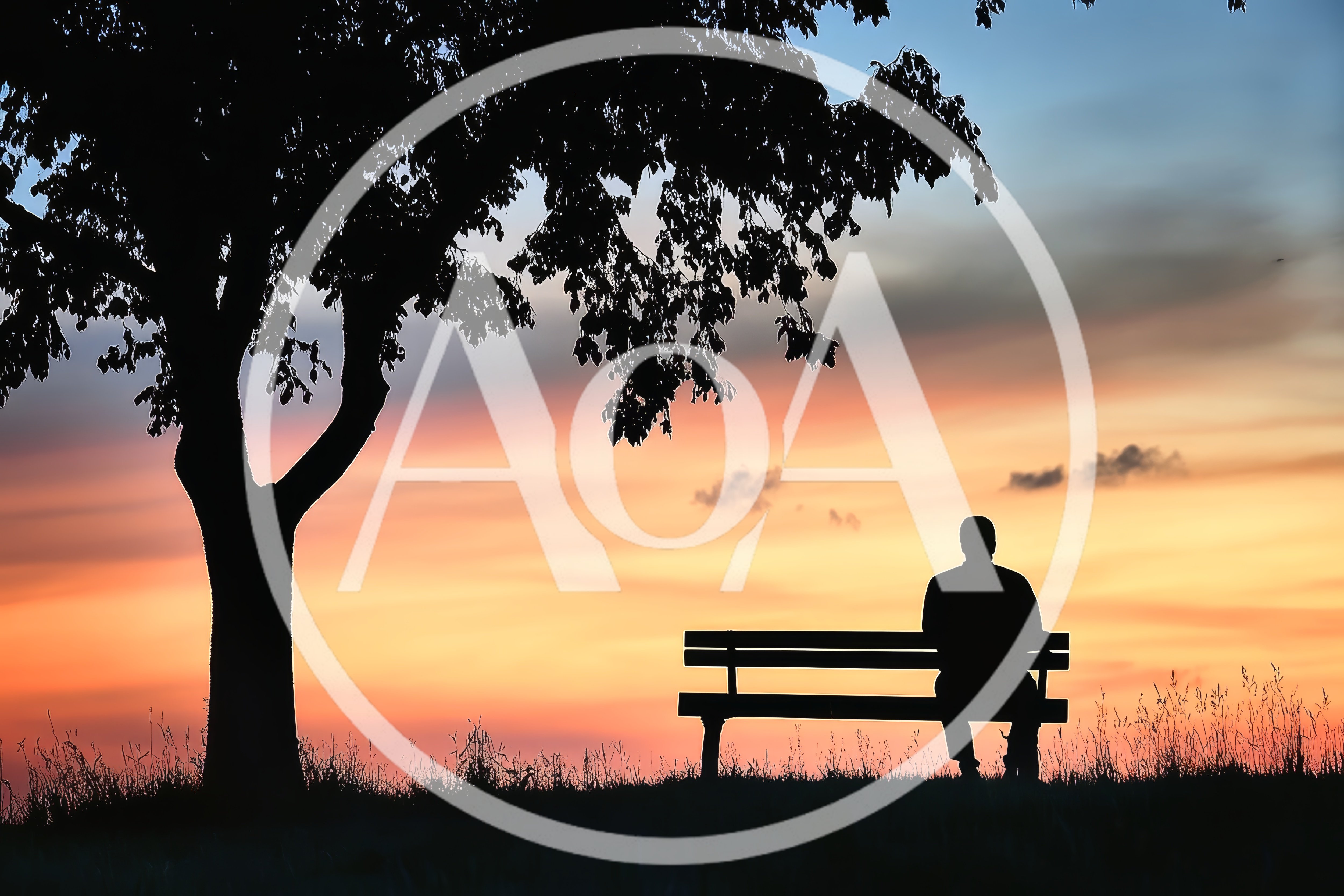 Silhouette Of A Man Sitting On A Park Bench