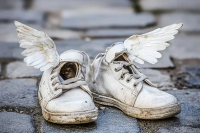 Pair Of White Winged Sneakers On Cobblestone Street