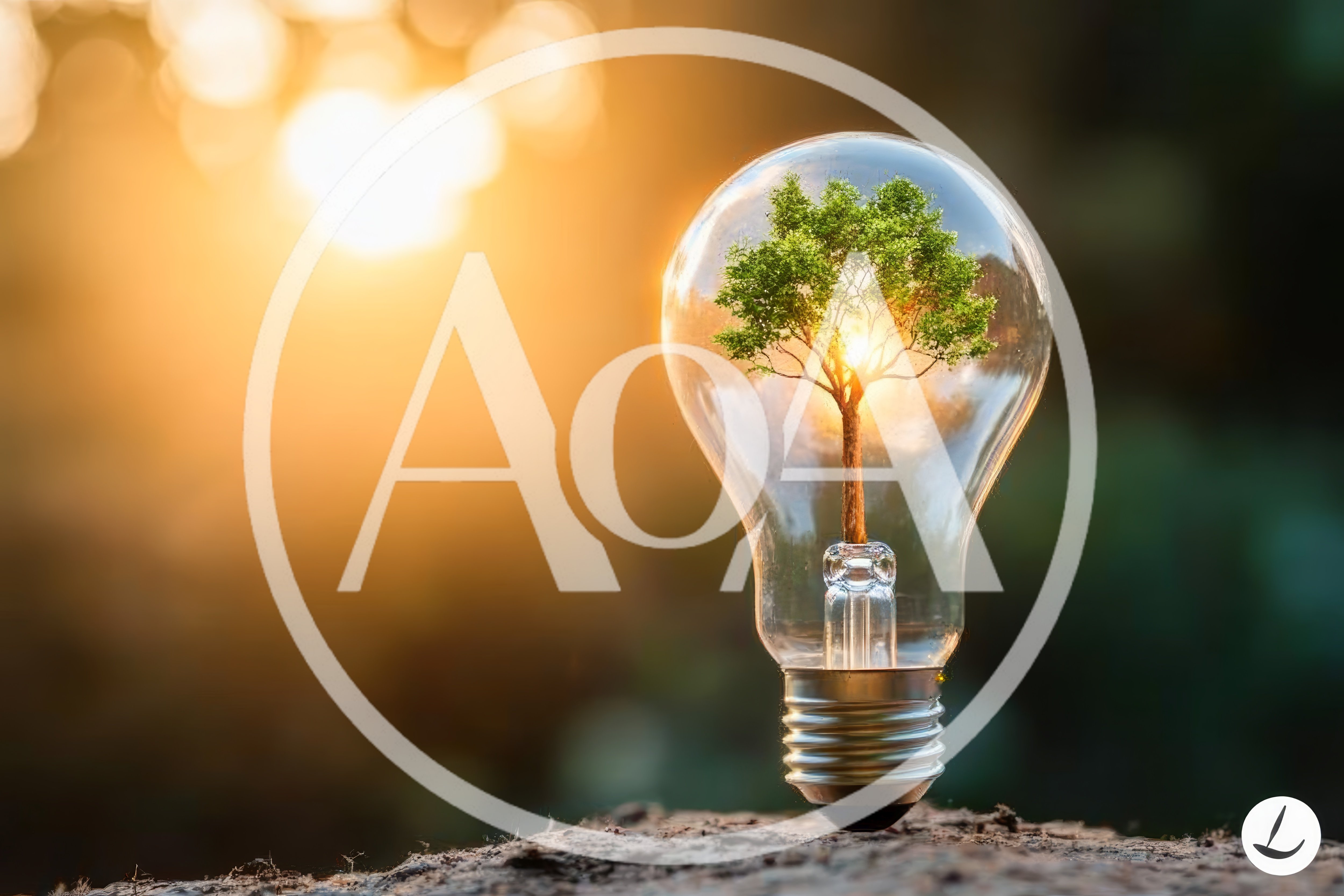 Small Tree Growing Inside A Glass Light Bulb