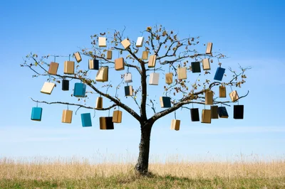 Books Hanging From Branches Of A Tree
