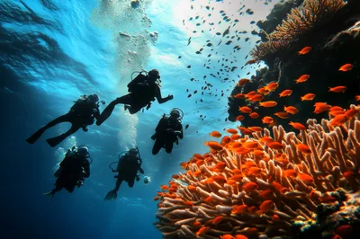 Scuba Divers Exploring Vibrant Coral Reef