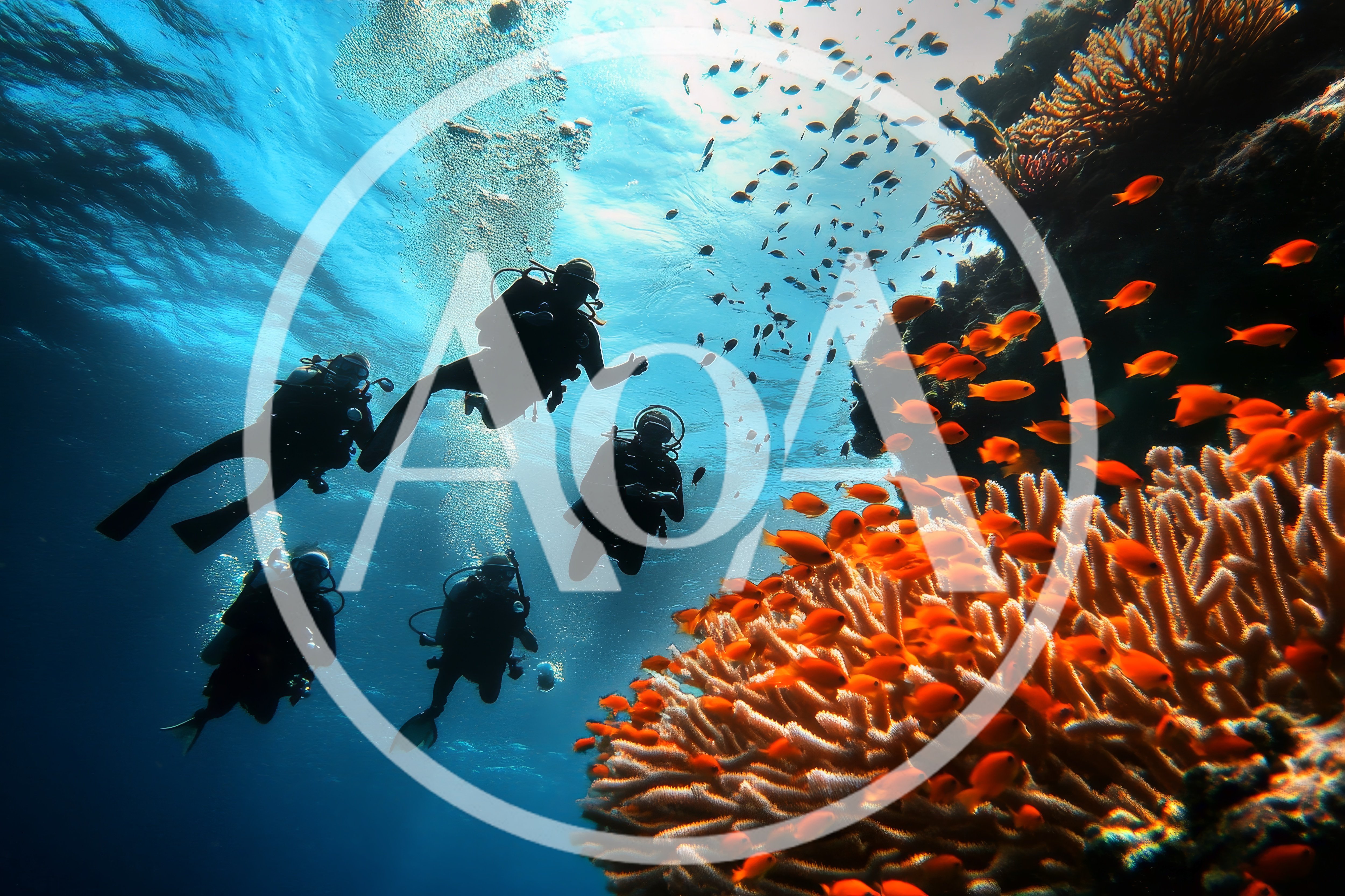 Scuba Divers Exploring Vibrant Coral Reef
