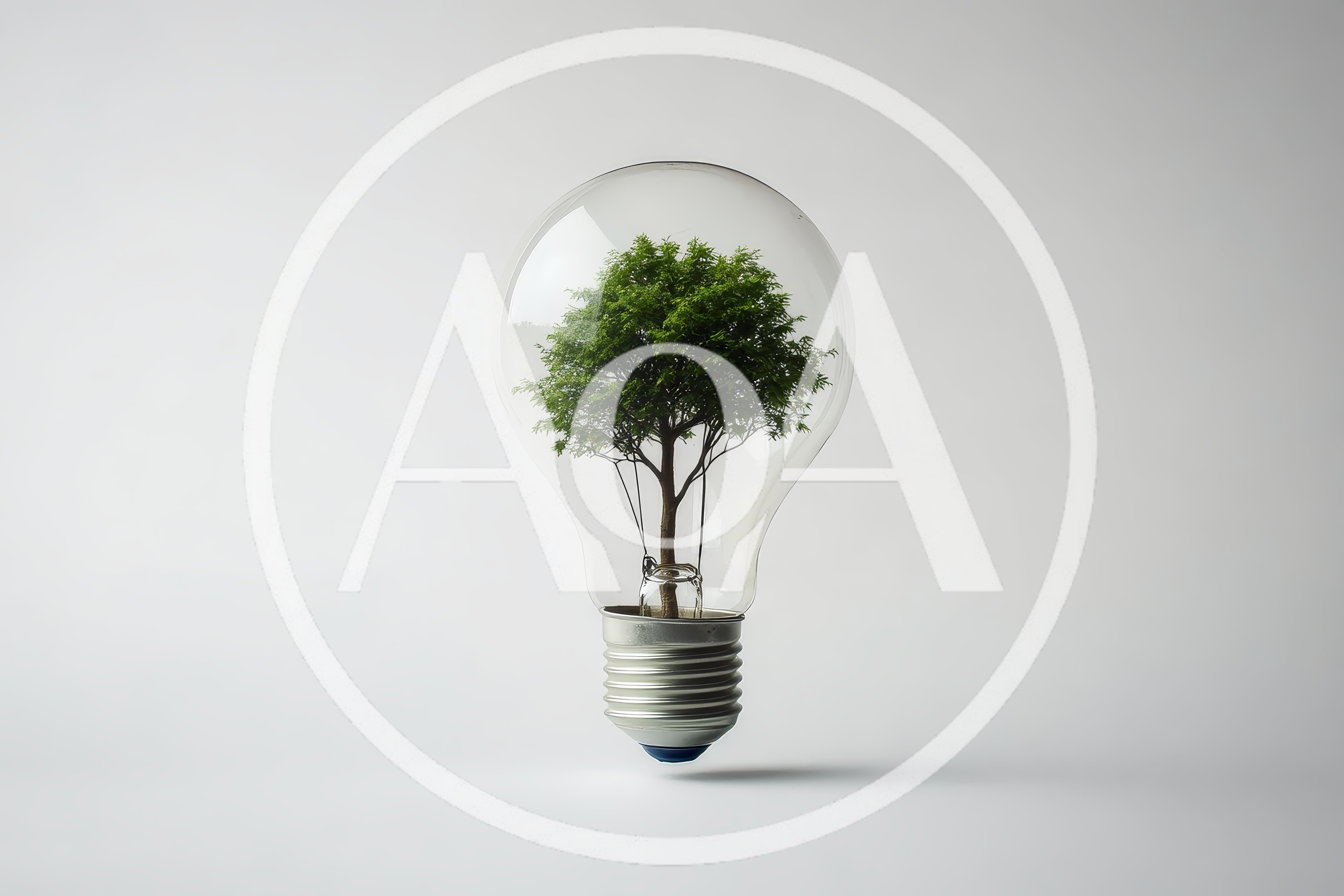 Green Tree Growing Inside A Glass Light Bulb