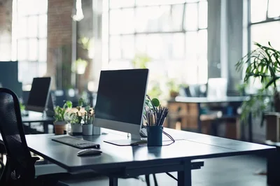 Modern Office Workspace With Computer And Desk Plants