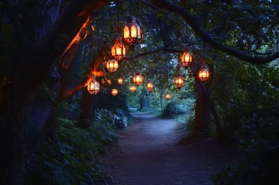 Enchanted Forest Path With Hanging Moroccan Lanterns