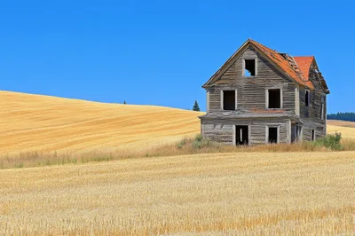 Abandoned Farmhouse In A Golden Wheat Field